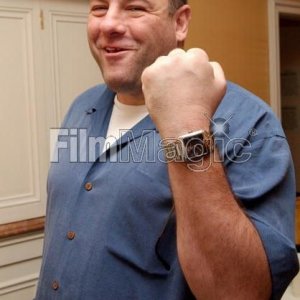 Джеймс Гандольфини в роли Тони Сопрано — фото 732
