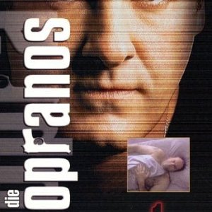 Обложки DVD и постеры — фото 22