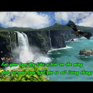 Let Your Love Flow - Bellamy Brothers Lyrics